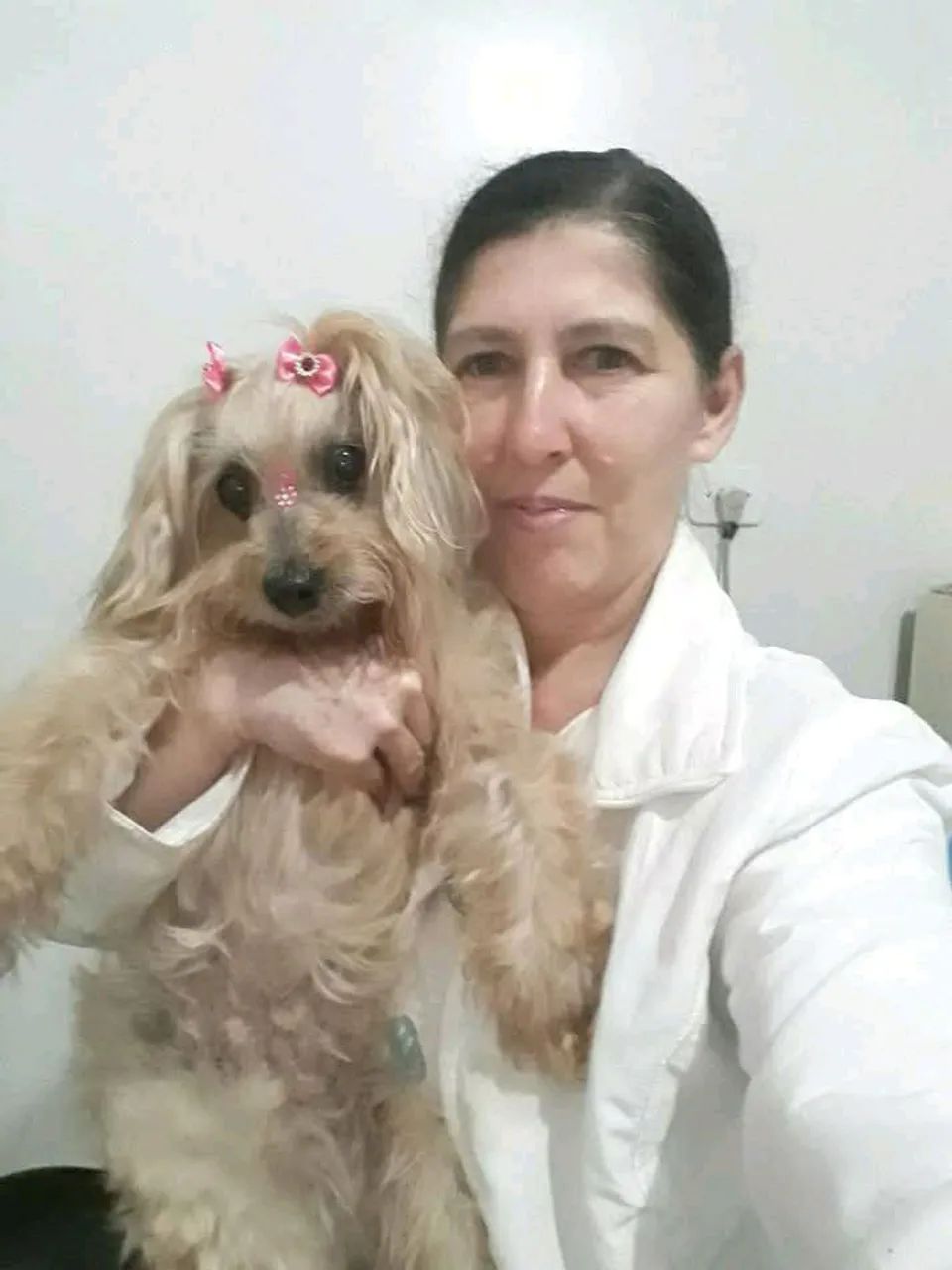 Diarista