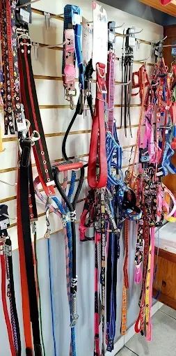 Fechamento de Pet Shop - Equipamentos, Acess. e alguns eletrodomésticos - Preço imperdível - Foto 6