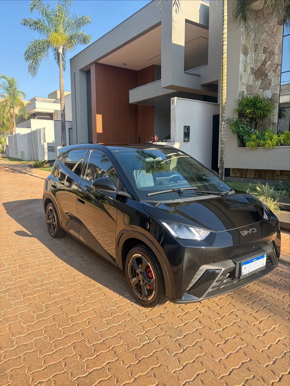 BYD Dolphin Mini (Elétrico) 2025 - Foto 3