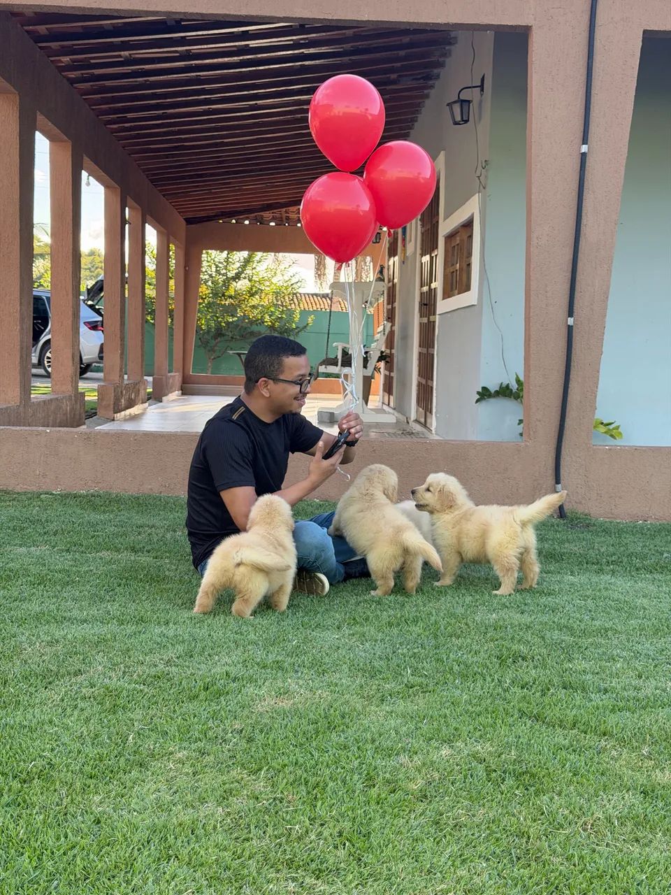 Lindos Filhotes de Golden retriever  - Foto 4
