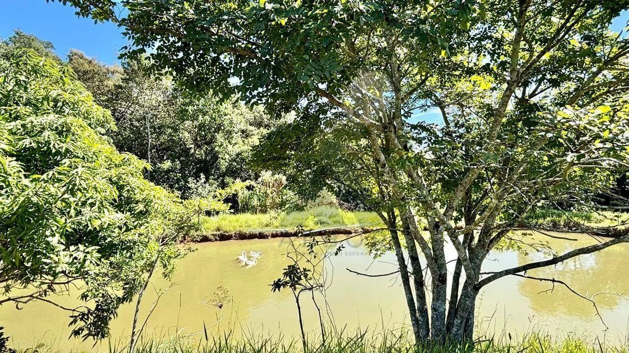 Sítio com 3 quartos à venda, 66492 m² por R$ 1.390.000 - Jardim São Carlos - Salto de Pira