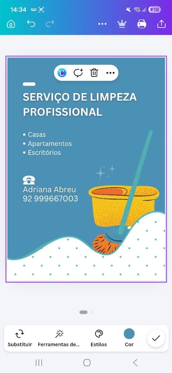 Diarista 