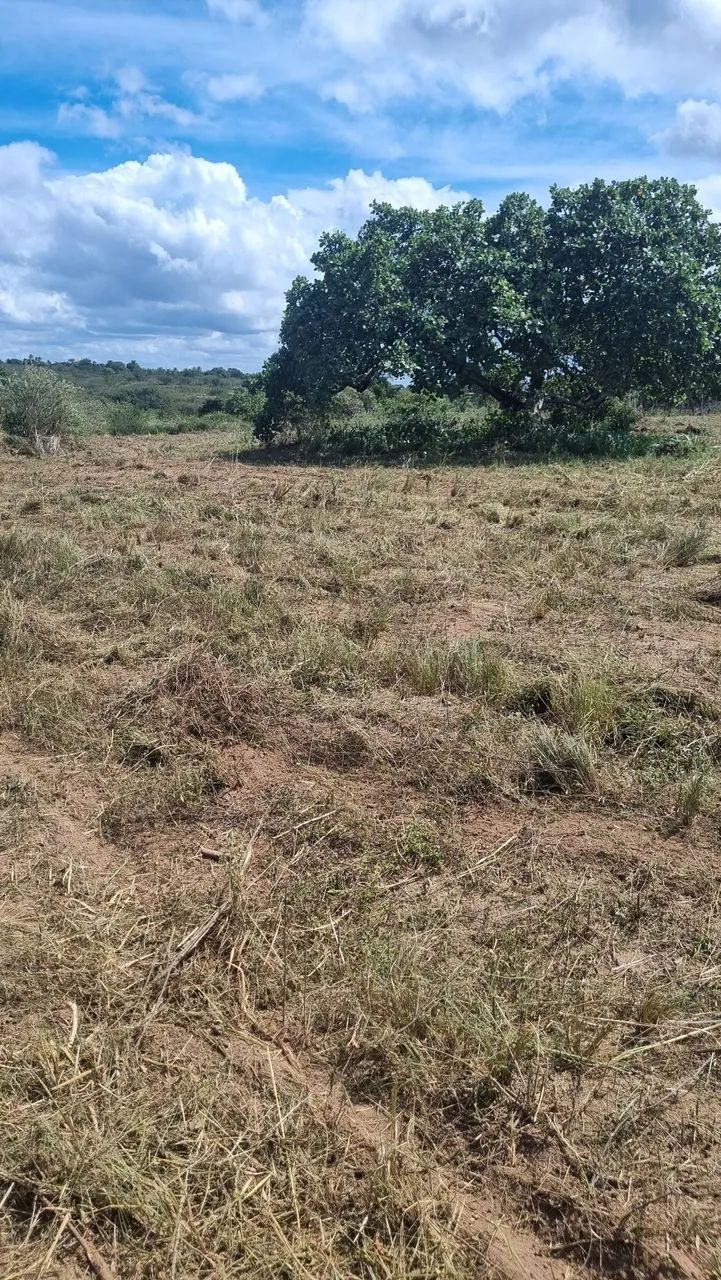 Área para Chácara  - Foto 5
