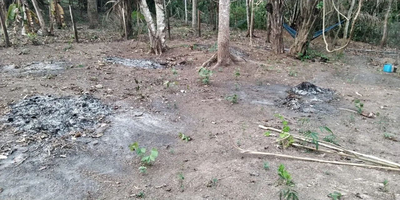 Vendo chácara 30 de frente 100 de fundo - Foto 4