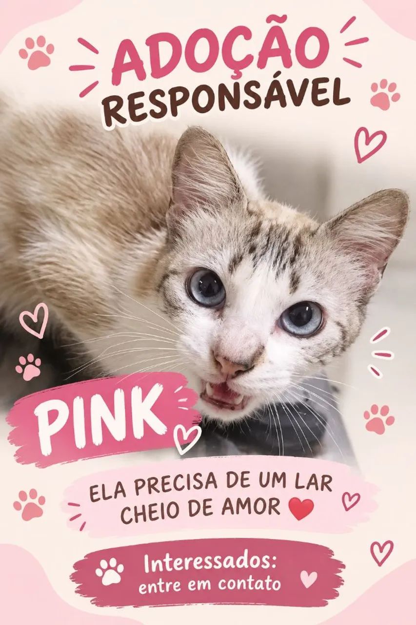 Gatinhos