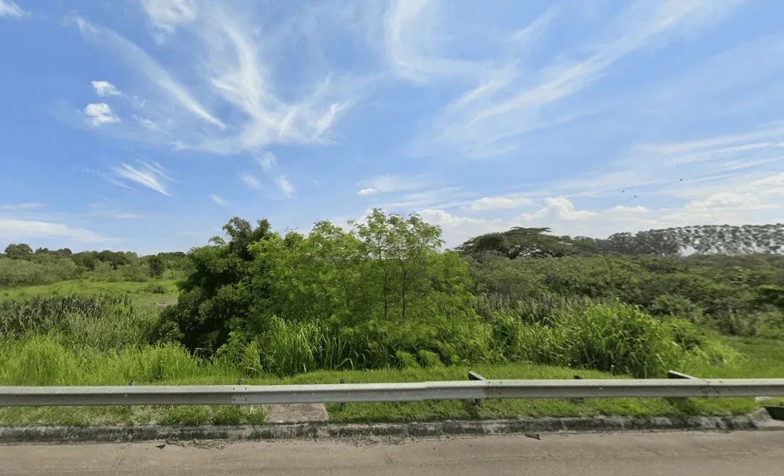 Lote/Terreno para venda possui 100000 metros quadrados