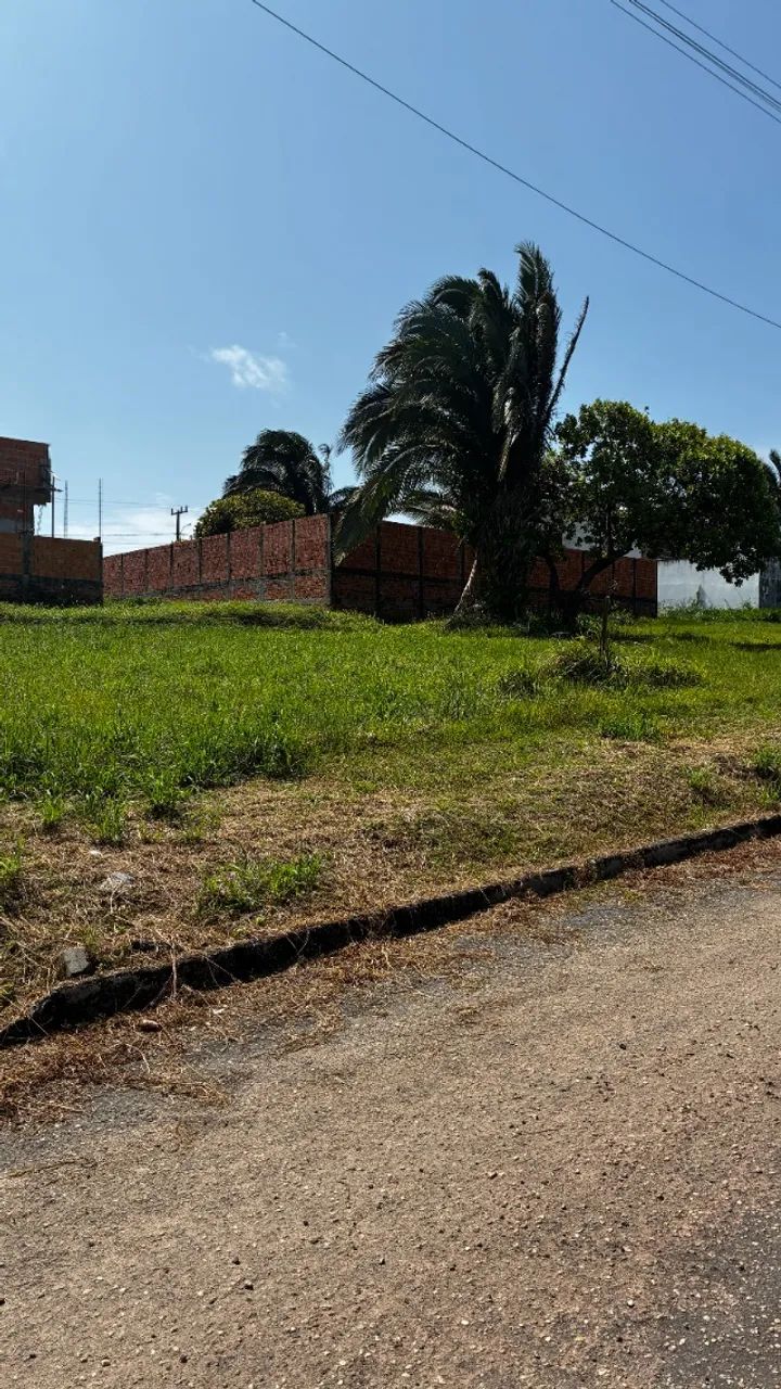 Terreno 250m² no Valle do Sall (Salinas/PA) - Foto 5