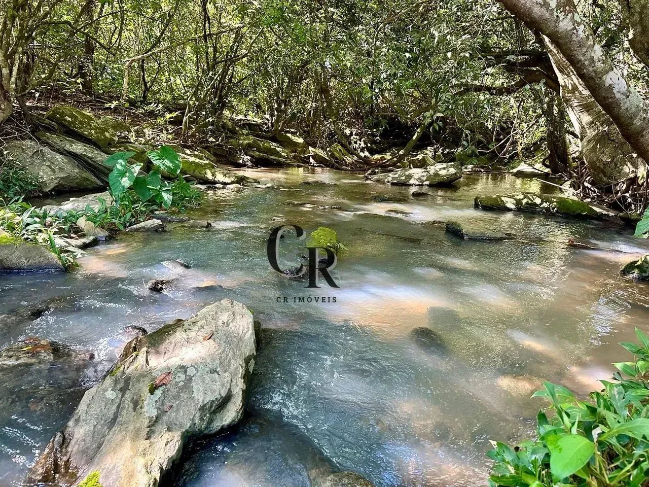 Chácara em Cromínia - GO - Foto 4