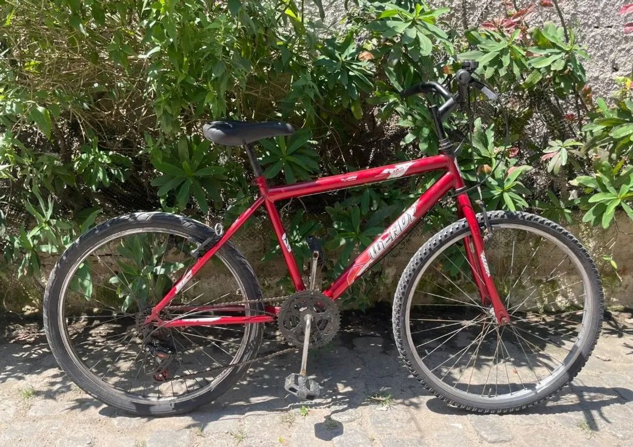 Bicicleta adulto 