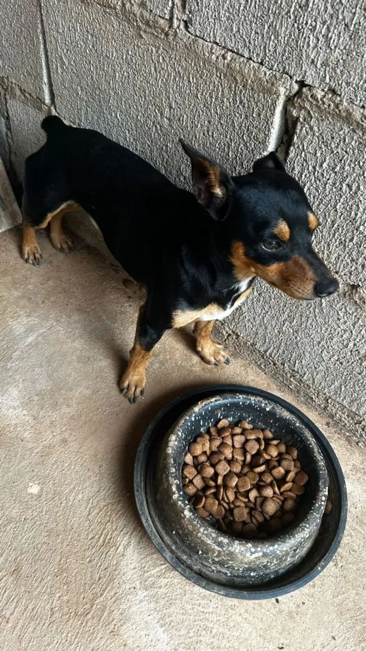 Doação  - Foto 2