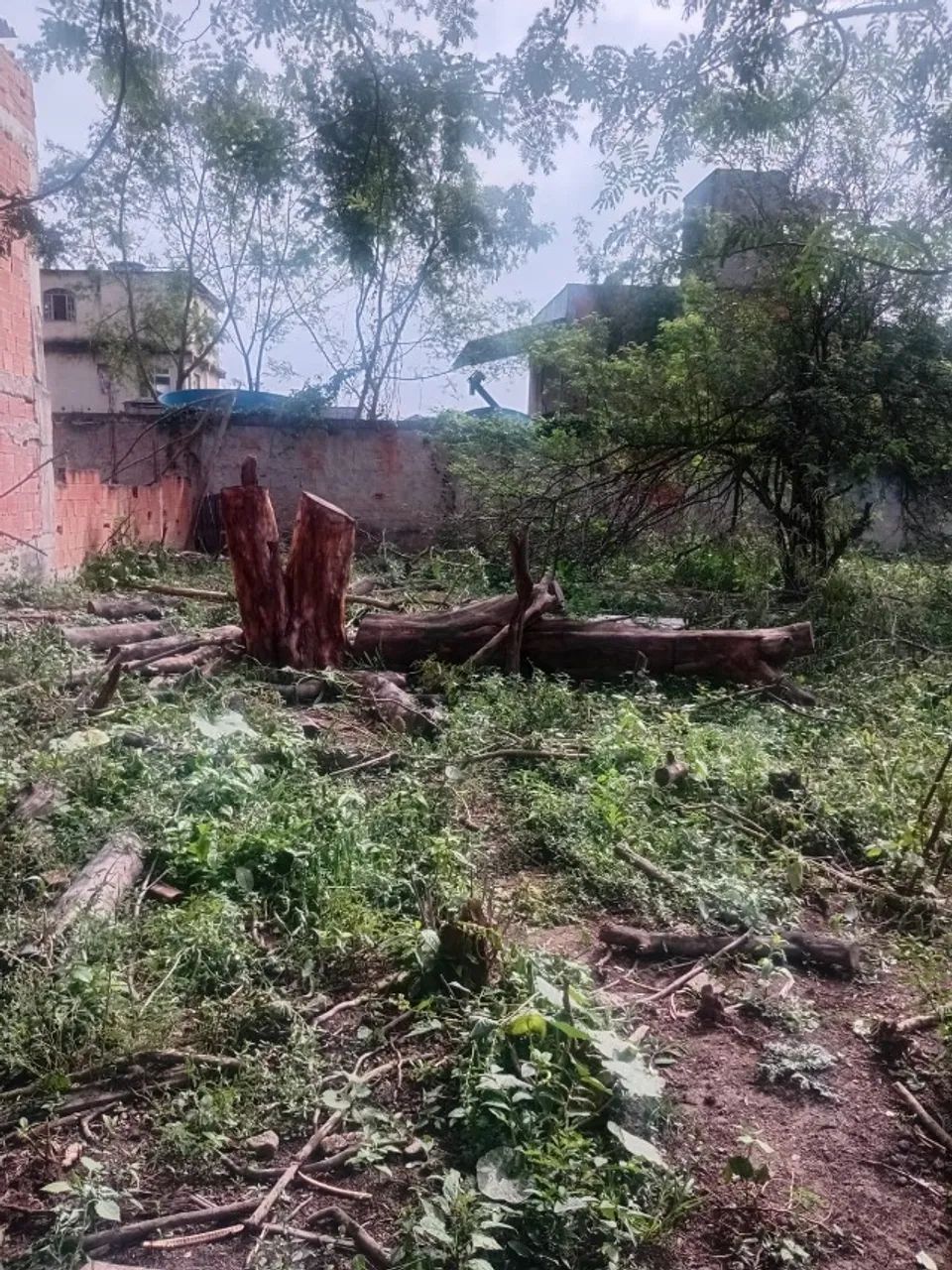Terreno com área de 750 metros todo murado - Foto 2
