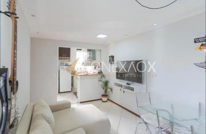 apartamento - Vila Padre Manoel de Nóbrega - Campinas - Foto 3