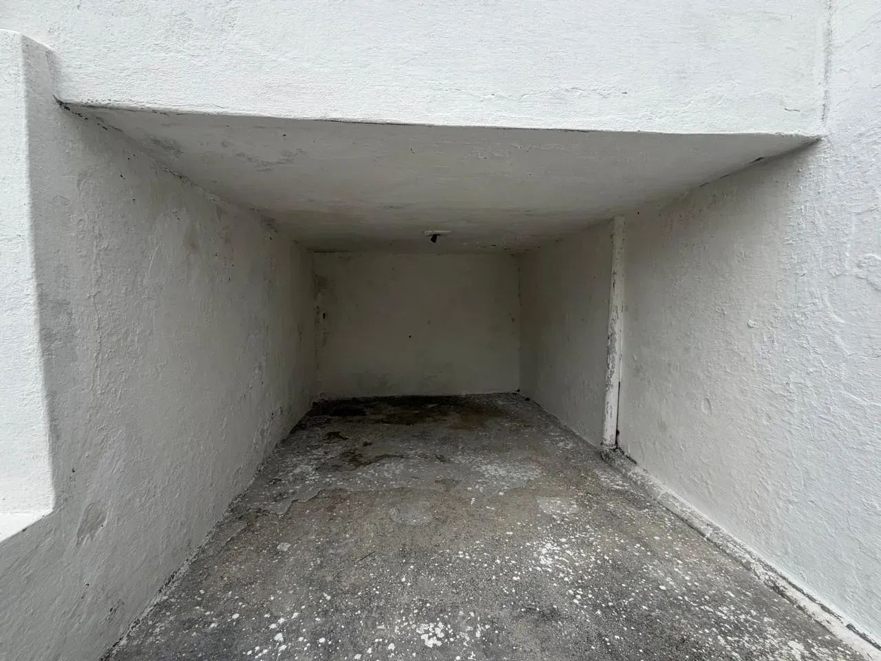 Casa com 3 quartos, suíte e quintal no Castelo Branco! - Foto 4