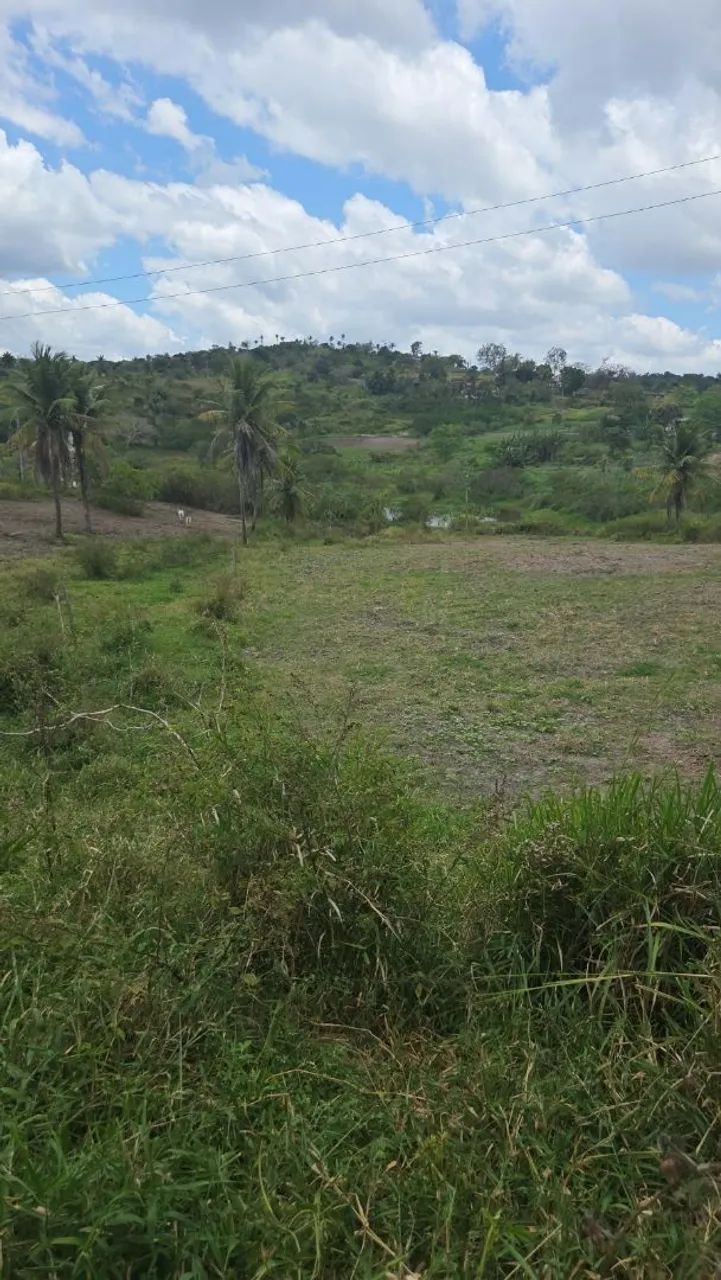 Sitio em Lagoa Seca com muita água  - Foto 5