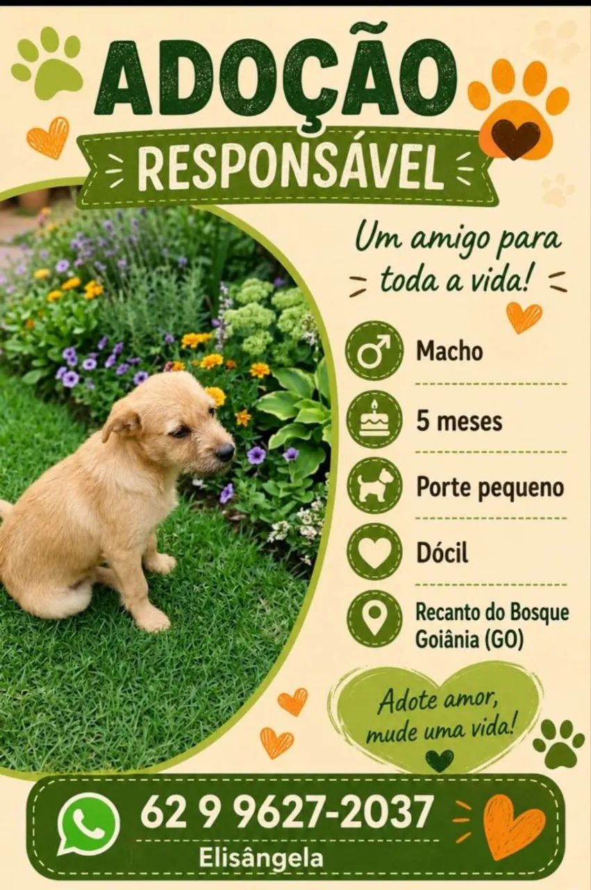 Animais de estimação 