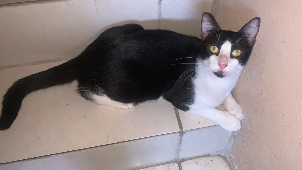 Mim leva pra sua casa  - Foto 2