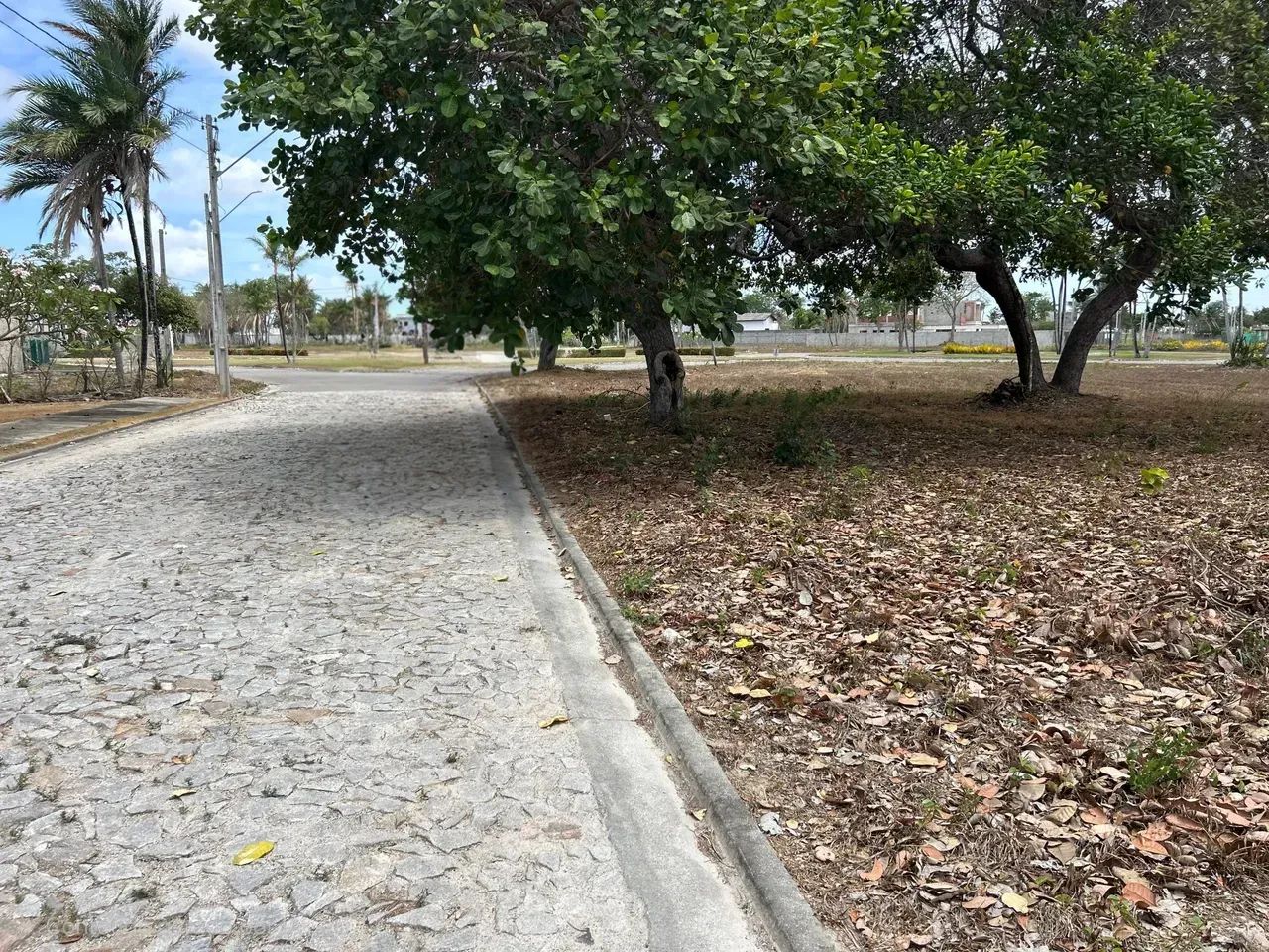 Lote com 483m2, próximo clube,  Terras Belas Itaitinga - Foto 4