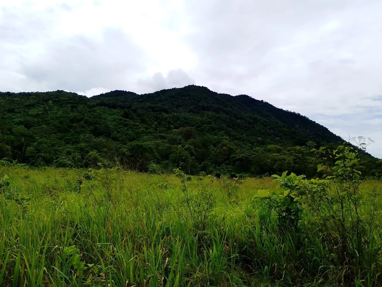 TERRENO - Foto 4