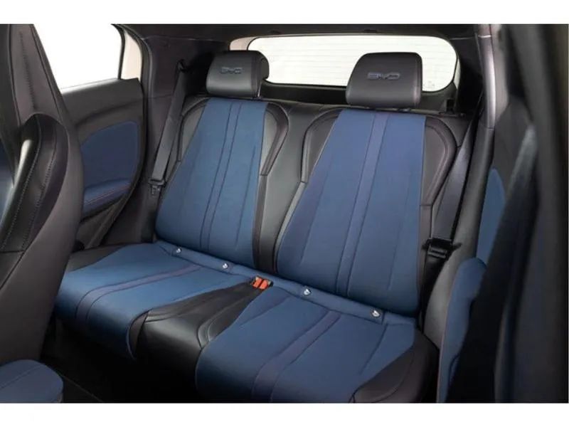 BYD Dolphin Mini (Elétrico) 2027 - Foto 5