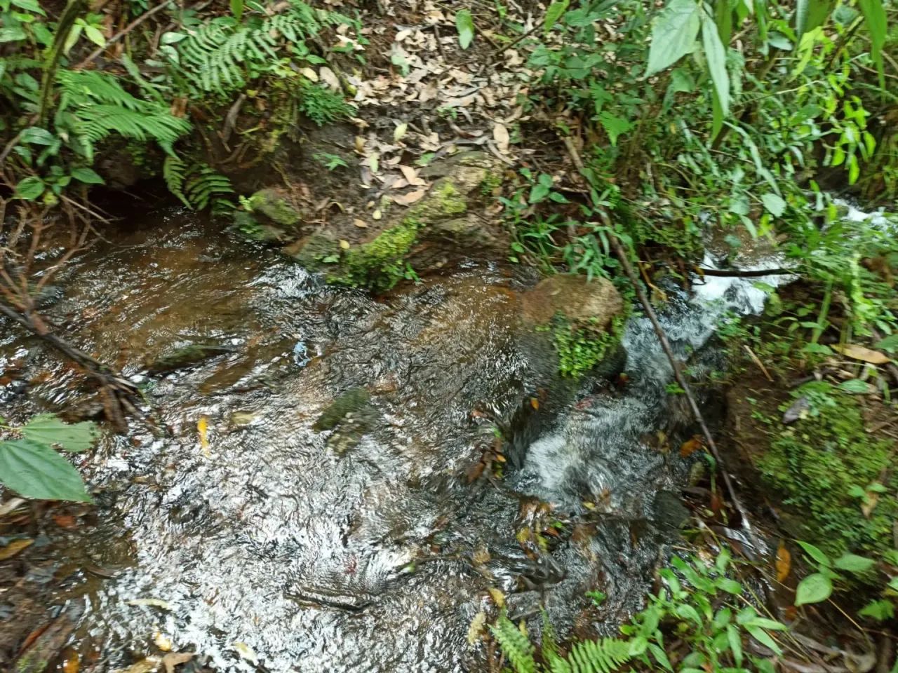 Sítio em Pirangu çu - MG - Foto 2