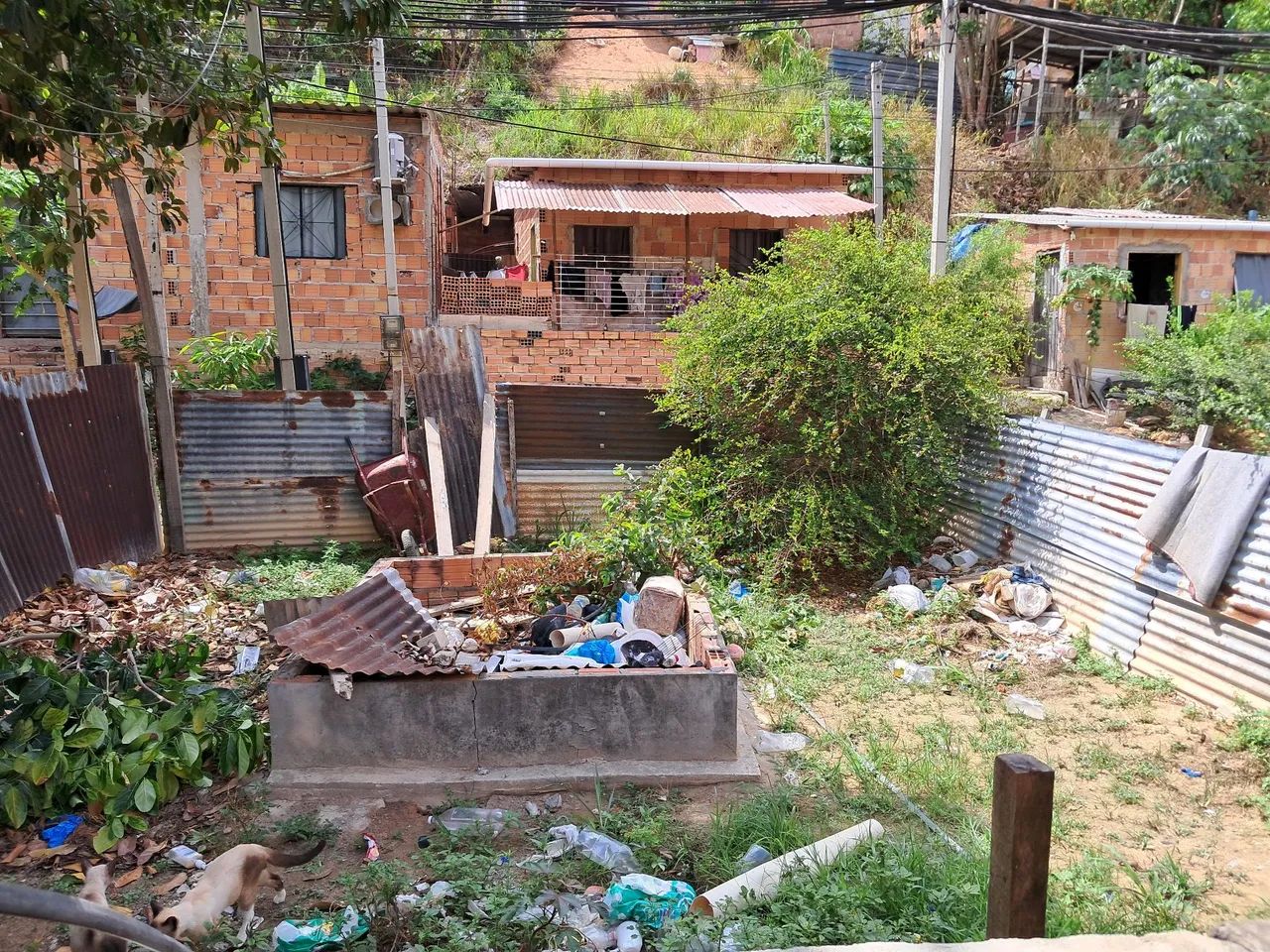 Terreno, Área Plana - Foto 2