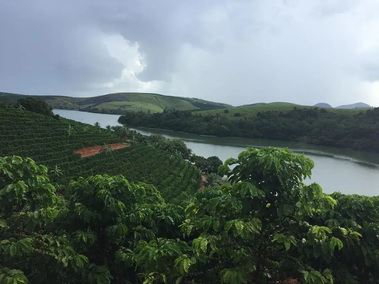 propiedade em lagoa terra alta - Foto 2