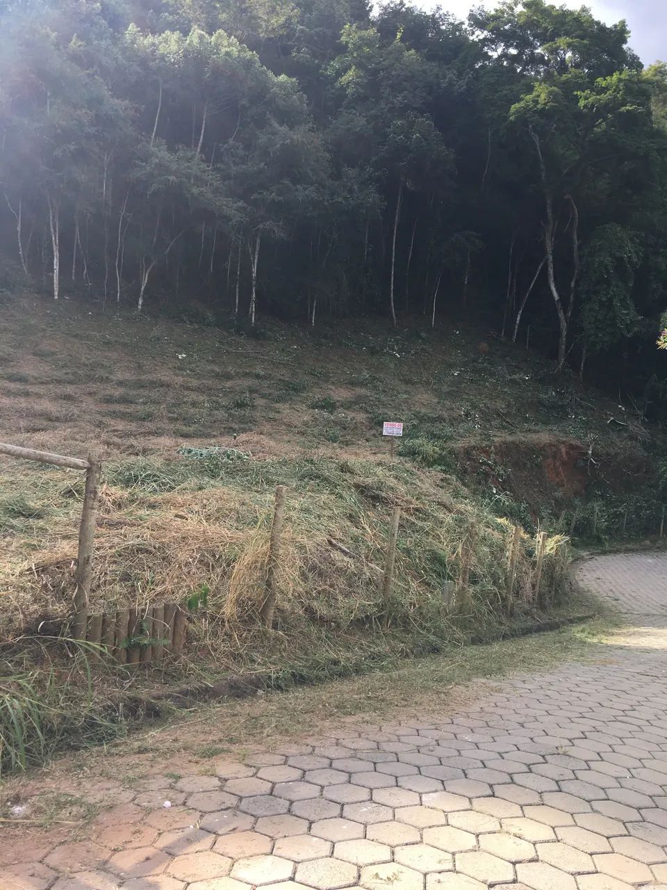 Lote 2.500 metros- Triângulo Verde - Foto 3