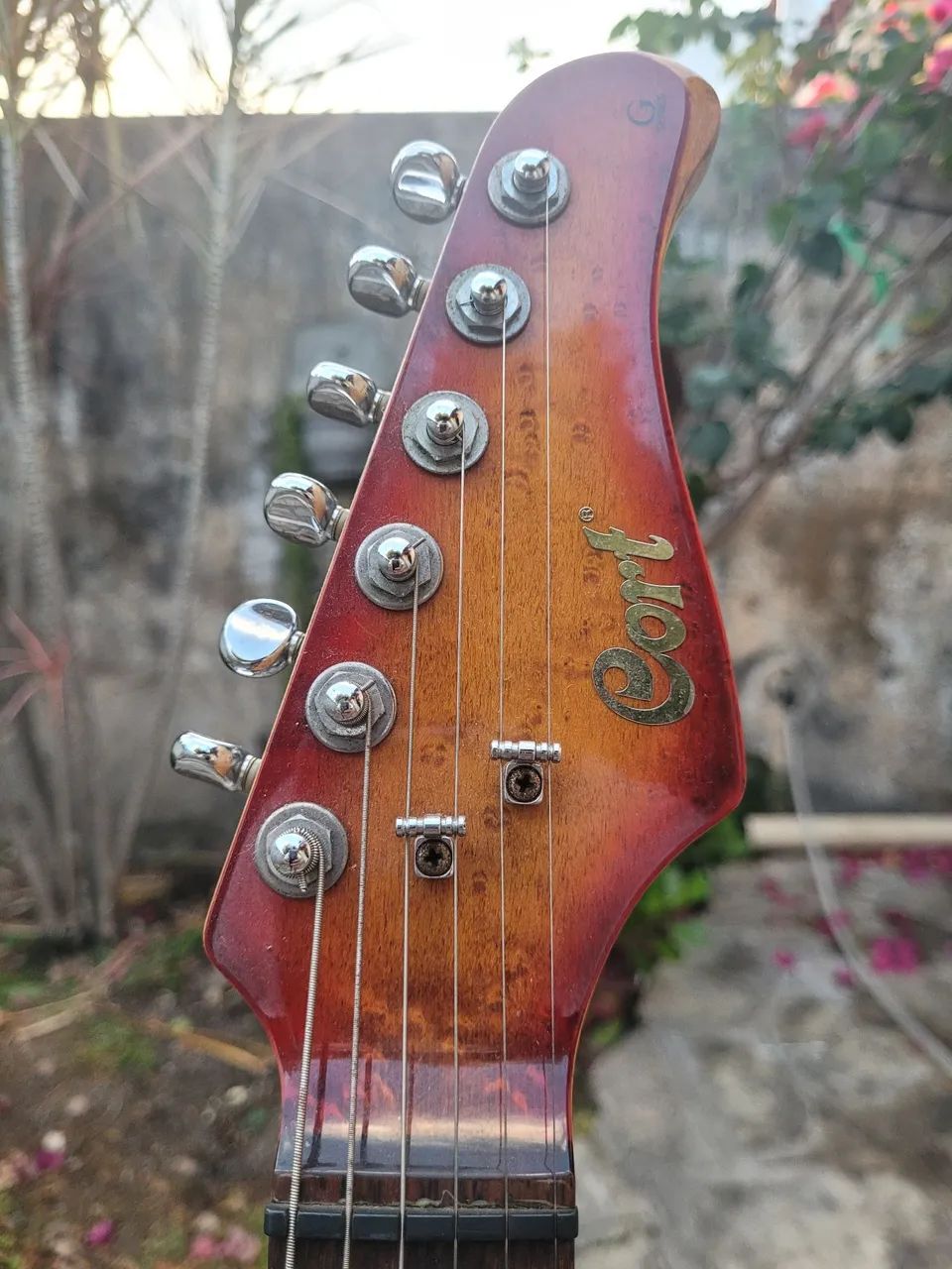 Guitarra Cort G custom - Foto 3