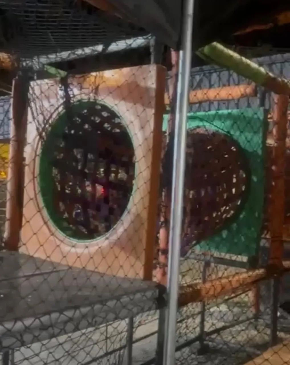 Playground Kids  - Foto 2