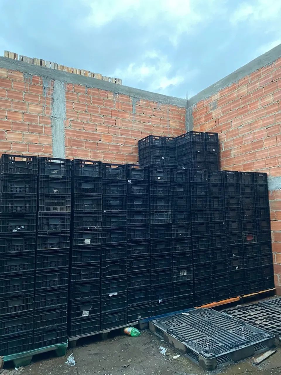 CAIXA PLASTICA VAZADA ORGANIZADORA  - Foto 3
