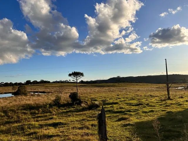 Sítio em Urupema - Foto 4