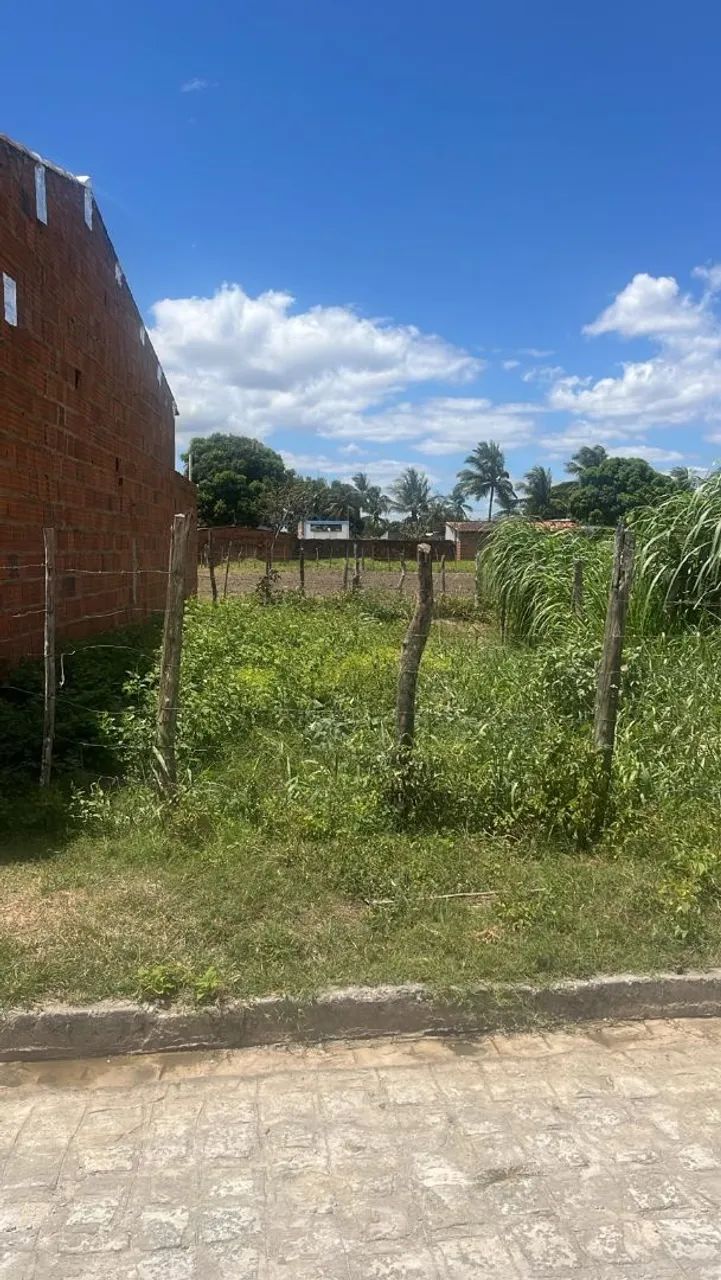 Vendo lote de casa em capela Sergipe 