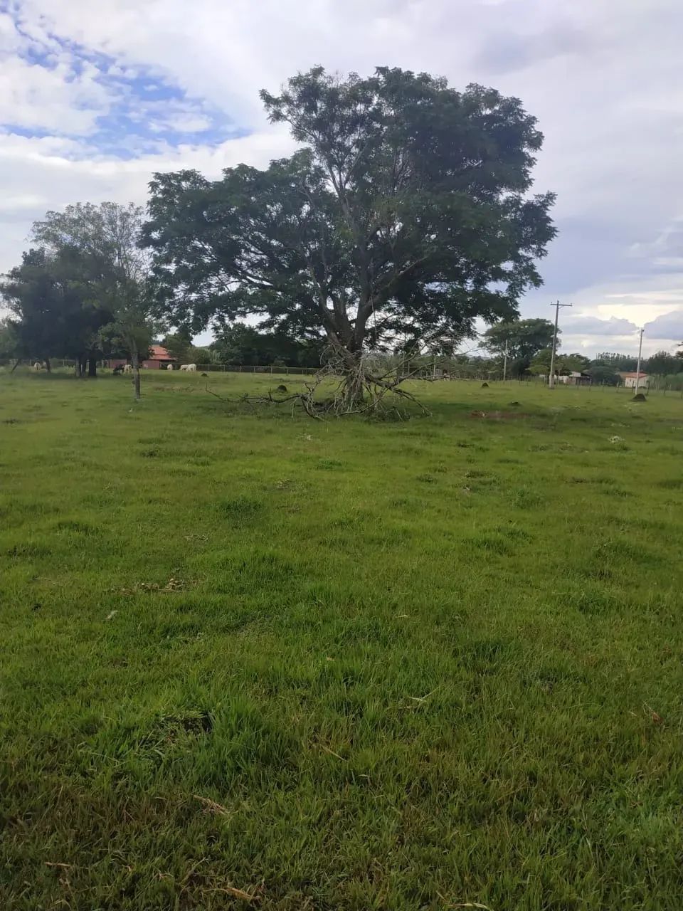 Terreno Porangaba/SP - Foto 4