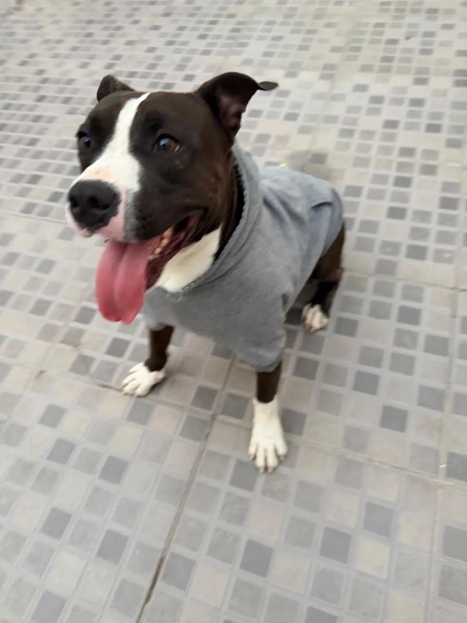 Doação  - Foto 4