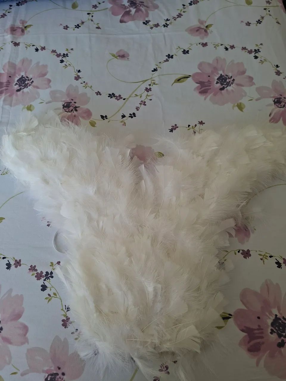 Asas de Anjo - Foto 4