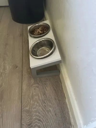 comedor duplo para pets - Foto 2
