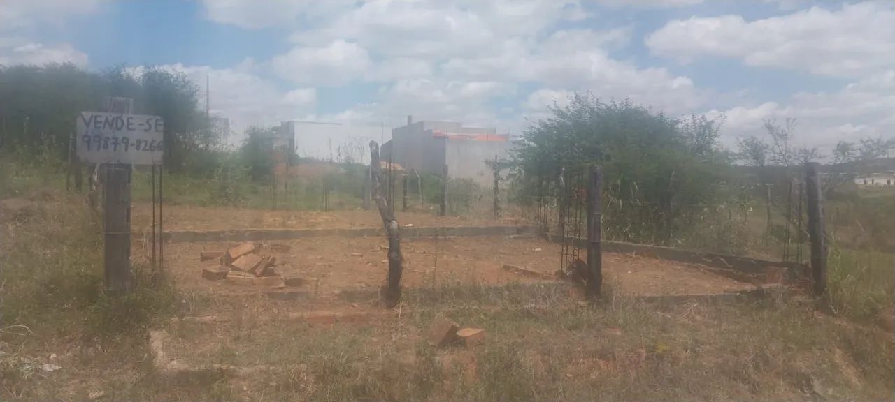 Foto - Simão Dias - 