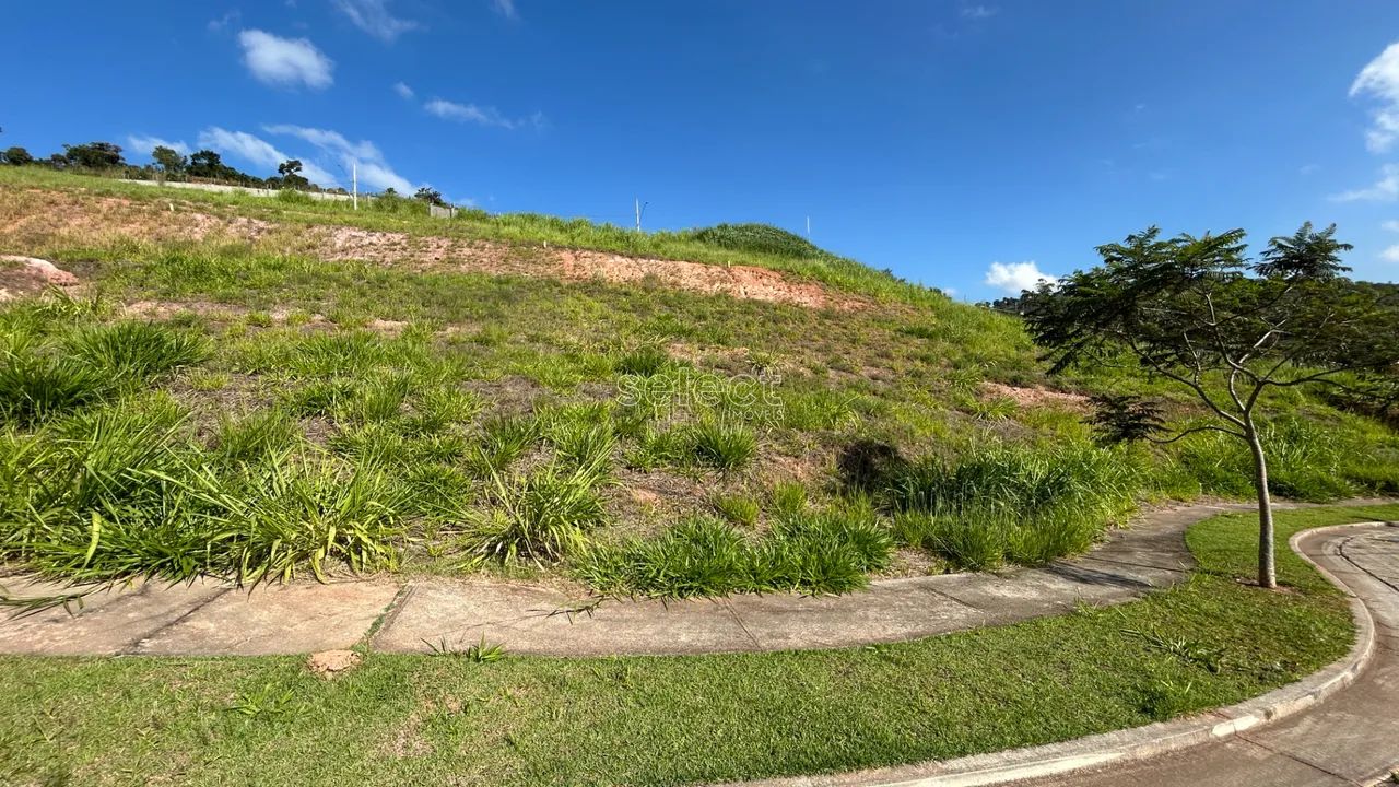 Lote / Terreno - São Pedro - Foto 5