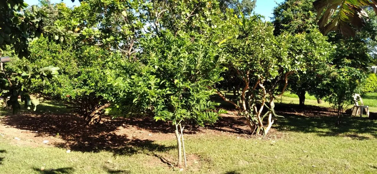 Linda Chácara um pedaço do Paraiso não perca a chance de ter um Paraíso particular. - Foto 9