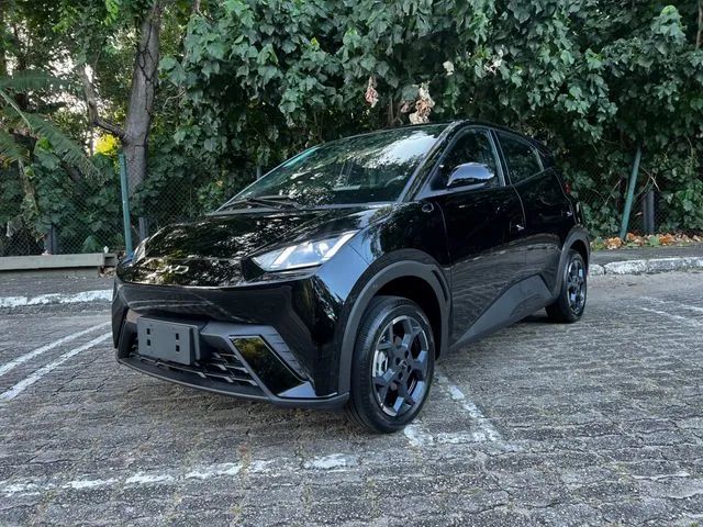 BYD Dolphin Mini (Elétrico) 2027 - Foto 2
