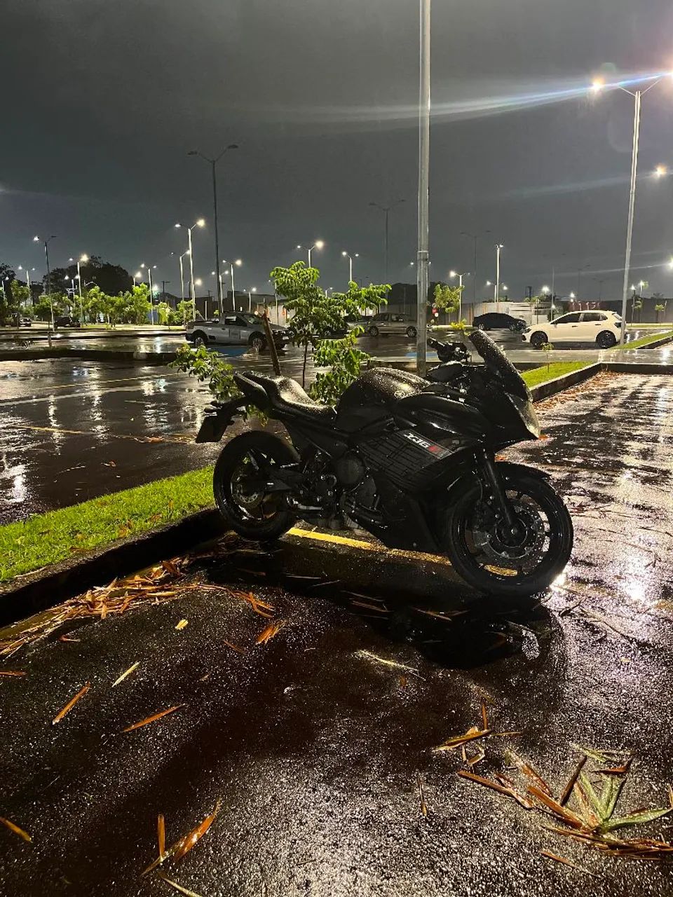 XJ6F 2012