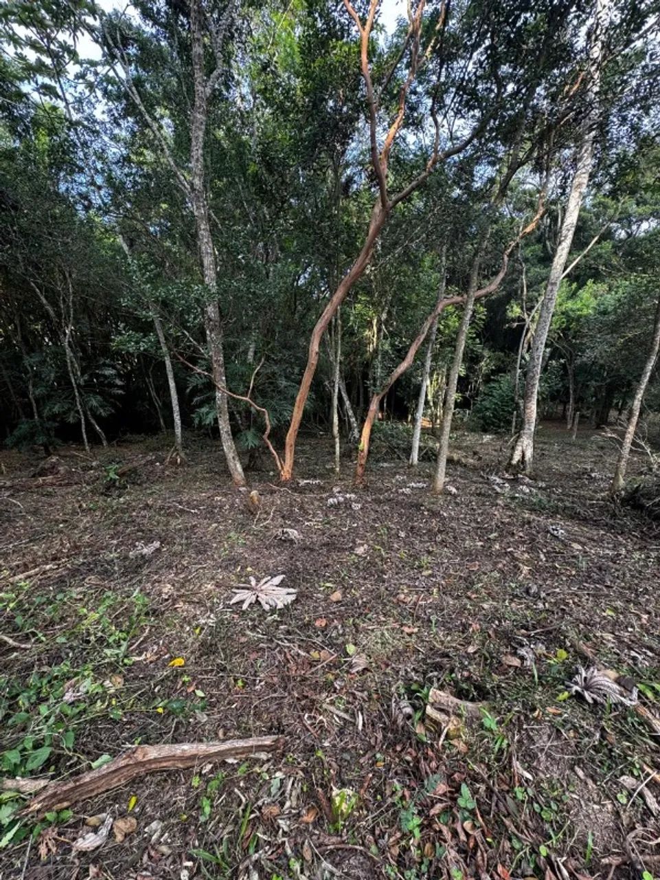 TERRENO RESIDENCIAL em FLORIANÓPOLIS - SC, RATONES - Foto 4