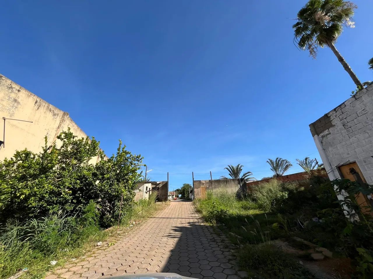 GALPÃO COMERCIAL EM APARECIDA DE GOIÂNIA-GO - Foto 5