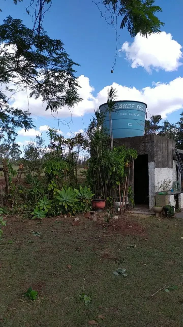 Fazenda em Munhoz de Melo - Paraná - Foto 4