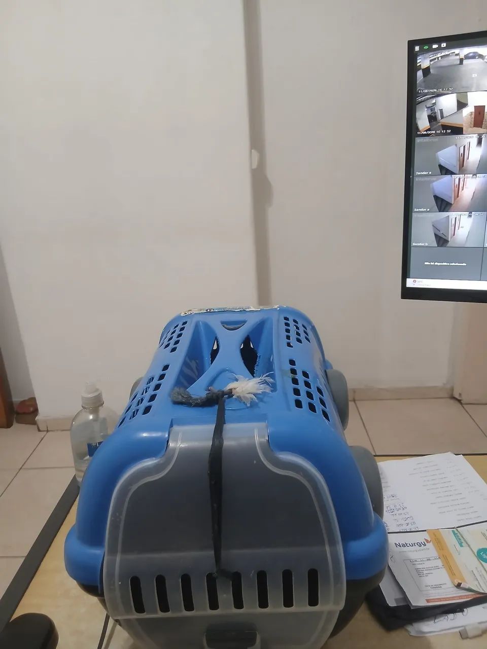 Casinha de cachorro ? 