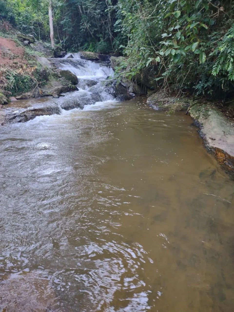 Sítio em Rio preto Minas gerais - Foto 5