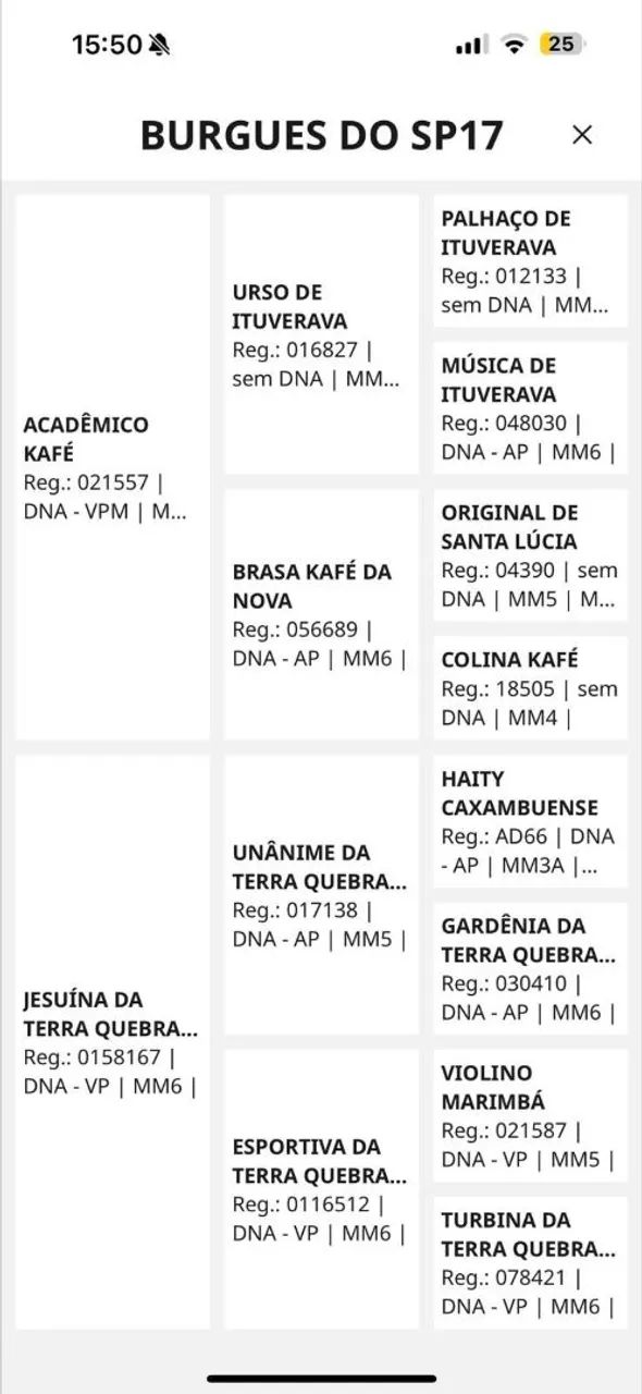 Cobertura Mangalarga Marchador - Foto 3