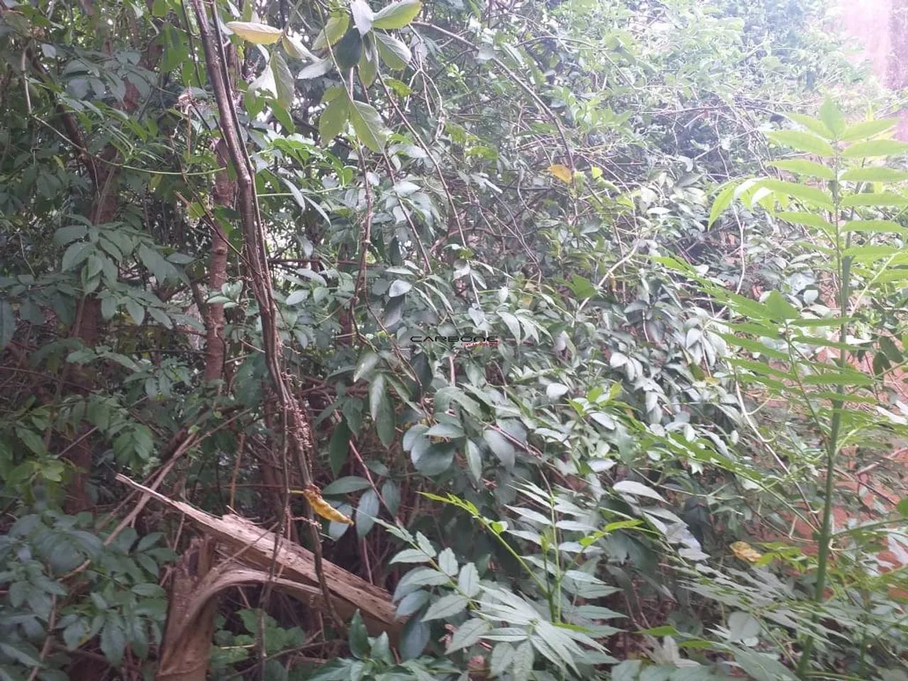 TERRENO A VENDA - Foto 4