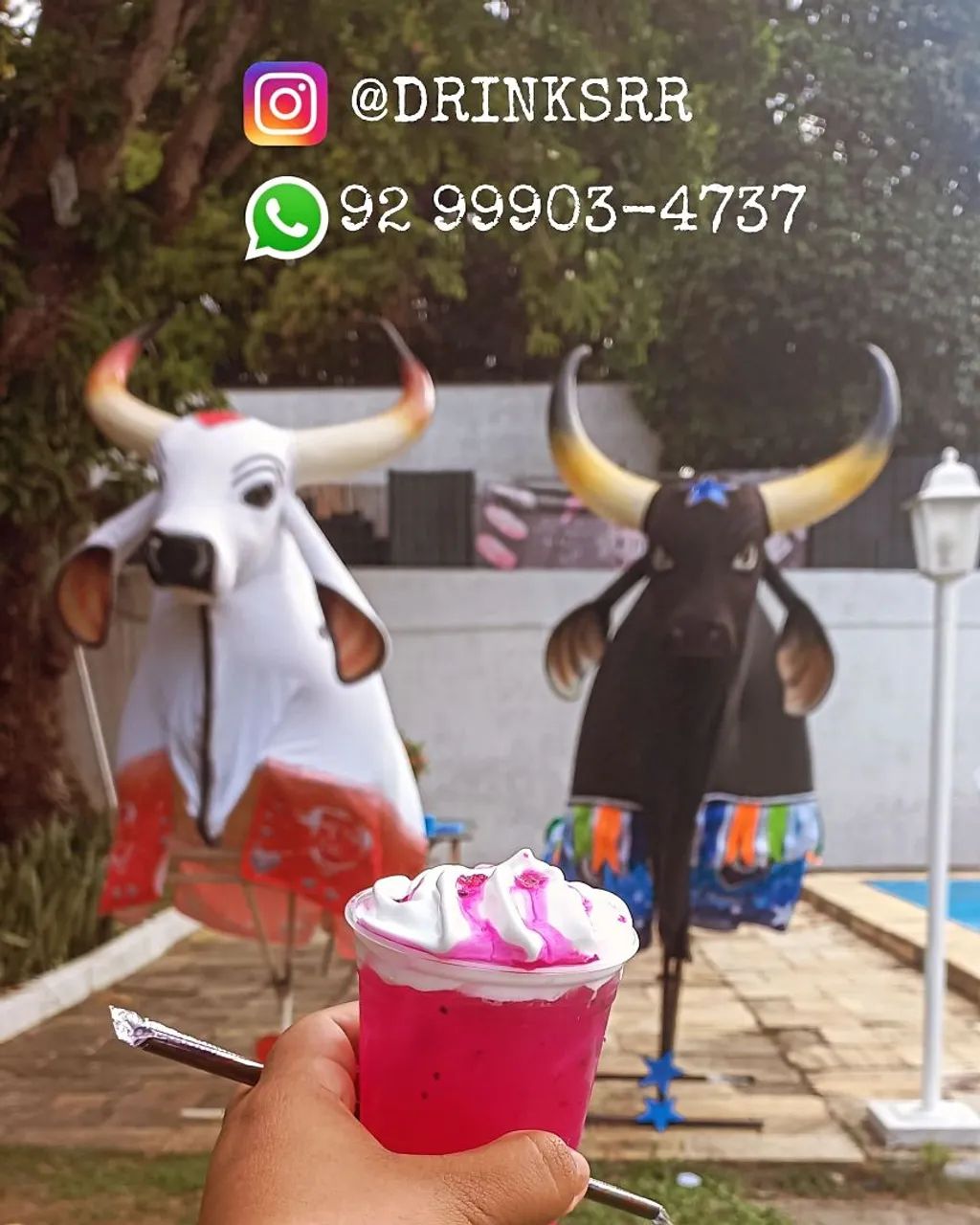 Bartender/ Open bar  - Foto 4