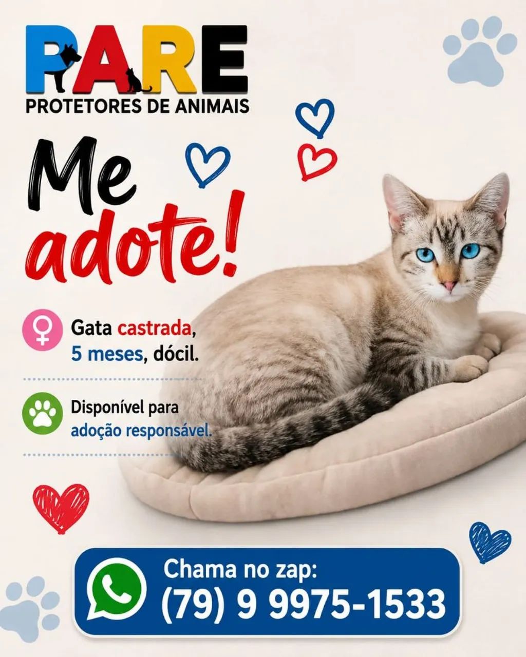 Lindos Gatinhos!! - Foto 2